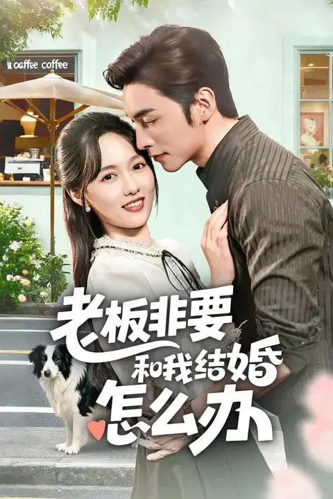 《老板非要和我结婚怎么办》封面