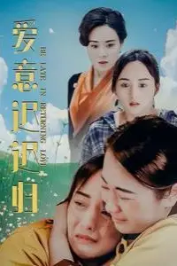 《爱意迟迟归》封面