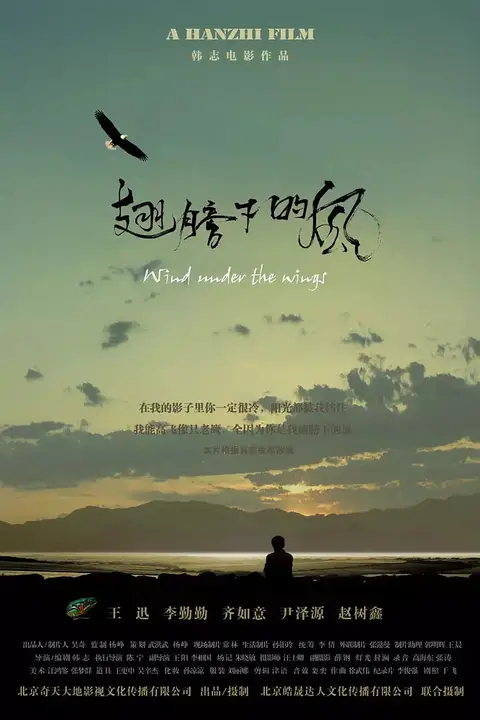 《翅膀下的风》封面