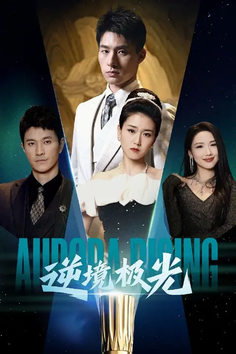 《逆境极光》封面