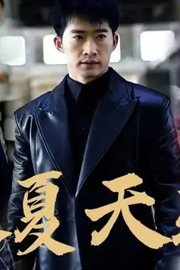 《大夏天骄(黑域至尊)》封面