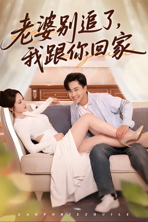 《老婆别追了我跟你回家》封面
