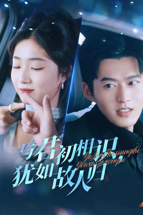 《与君初相识犹如故人归(只愿君心似我心)》封面