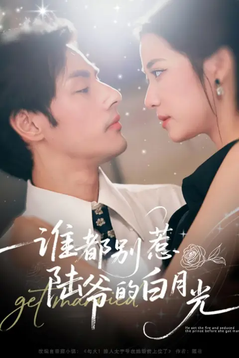 《谁都别惹陆爷的白月光》封面