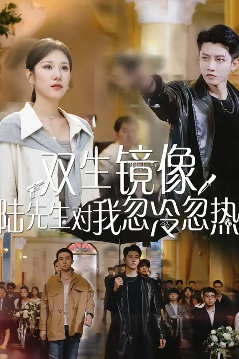《双生镜像陆先生对我忽冷忽热》封面