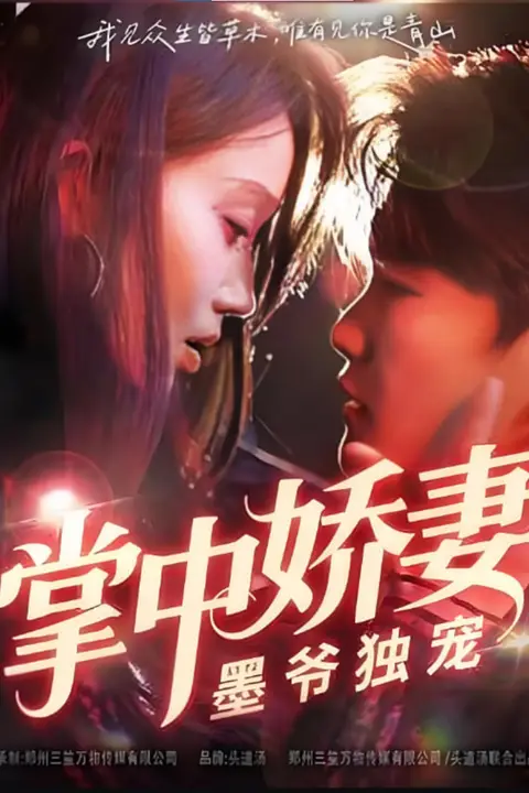 《掌中娇妻墨爷独宠》封面
