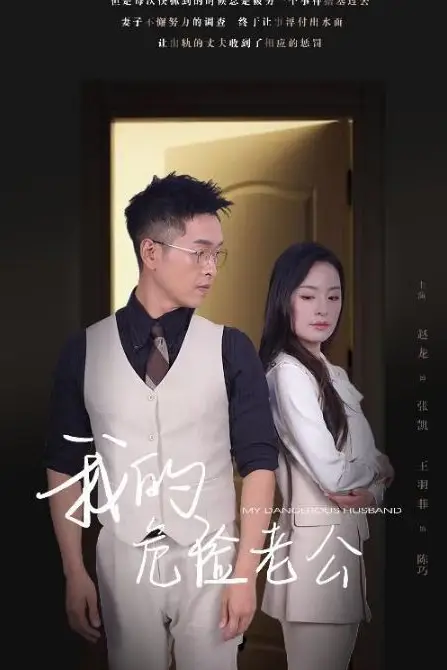 《新我的危险老公》封面