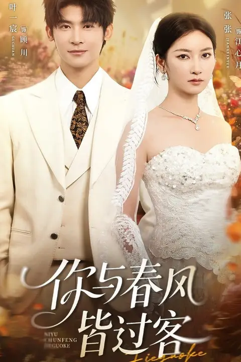 《你与春风皆过客》封面
