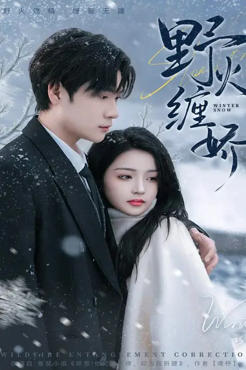 《野火缠娇》封面