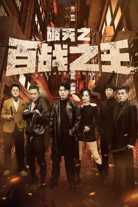 《破天之百战之王(我不做大哥好多年)》封面