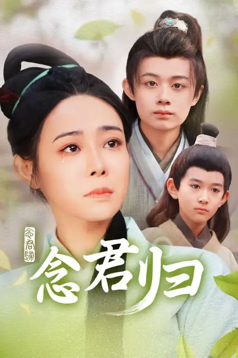 《念君归》封面