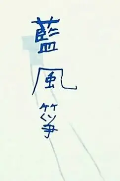 《蓝风筝》封面