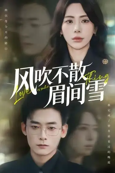 《风吹不散眉间雪》封面