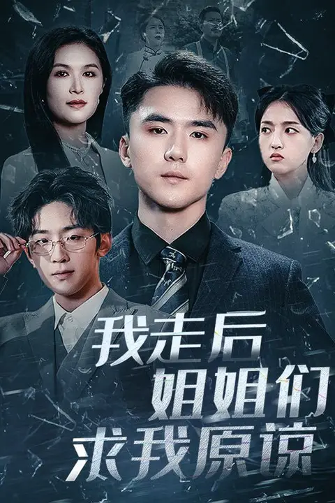 《我走后姐姐们求我原谅》封面