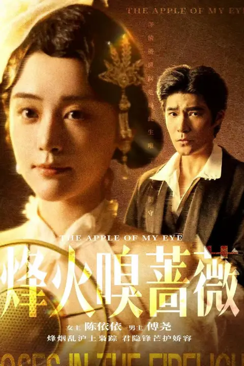 《烽火嗅蔷薇(傅爷的心上宠)》封面