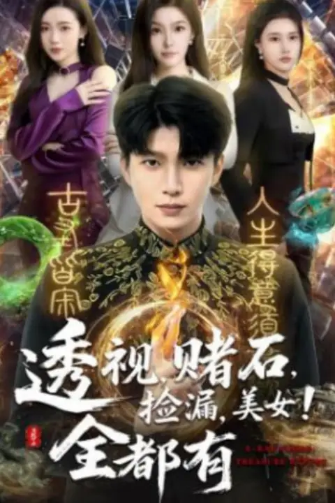 《透视，赌石，捡漏，美女！全都有》封面
