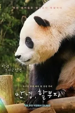 《再见，福宝》封面