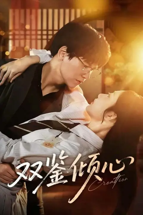 《双鉴倾心》封面