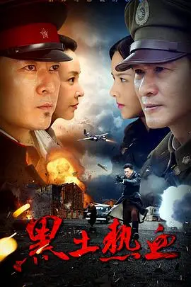 《黑土热血》封面