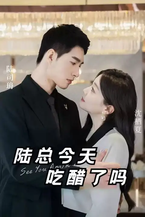 《陆总今天吃醋了吗》封面