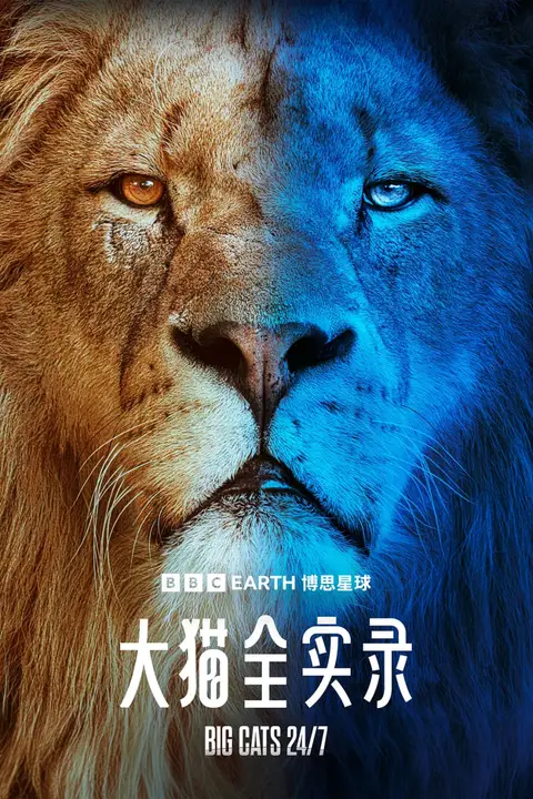 《大猫全实录》封面