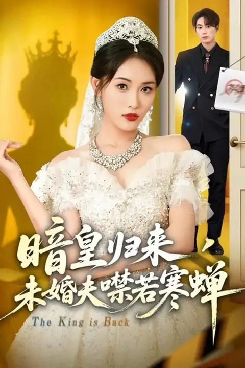 《暗皇归来,未婚夫噤若寒蝉》封面