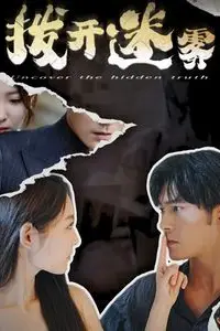 《拨开迷雾》封面