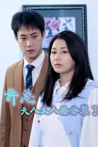 《许总，夫人又人格分裂了》封面