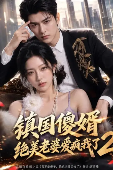 《镇国傻婿：绝美老婆爱疯我了 2》封面