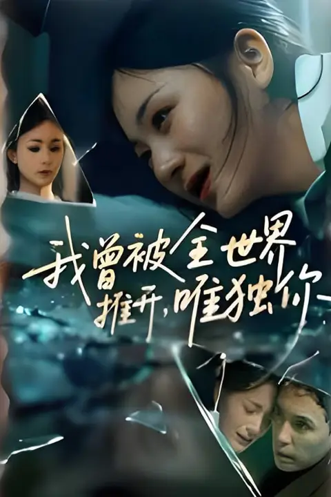 《我曾被全世界推开唯独你》封面