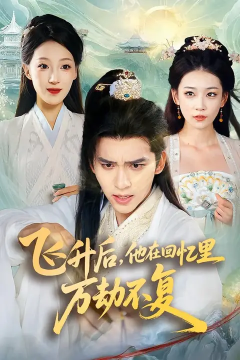 《飞升后,他在回忆里万劫不复》封面
