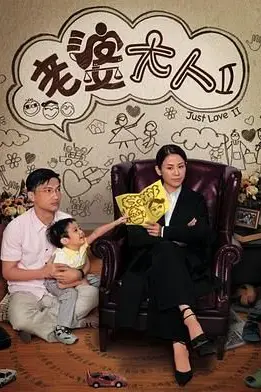 《老婆大人2 普通话版》封面