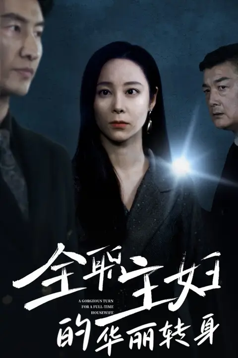 《全职主妇的华丽转身》封面