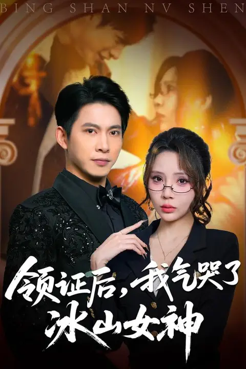 《领证后,我气哭了冰山女神》封面