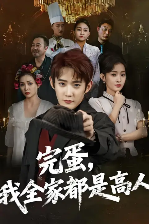 《完蛋我全家都是高人》封面