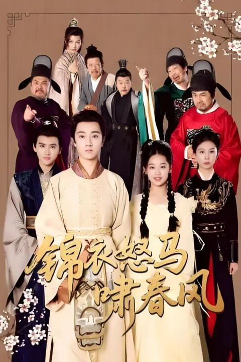 《锦衣怒马啸春风》封面