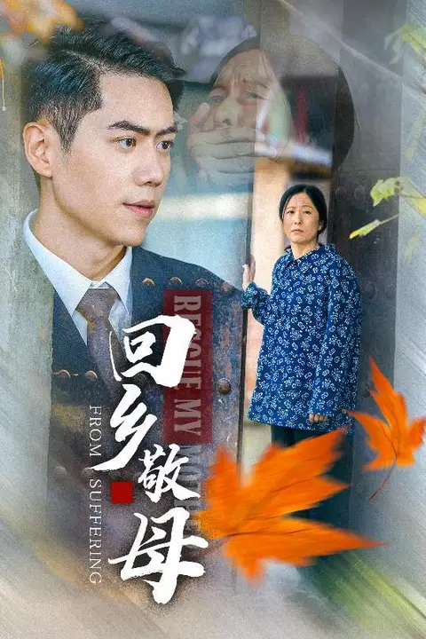 《回乡敬母》封面