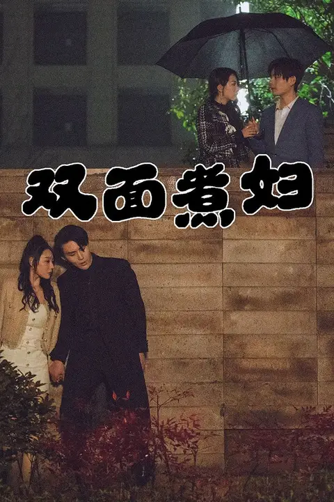 《双面煮妇》封面