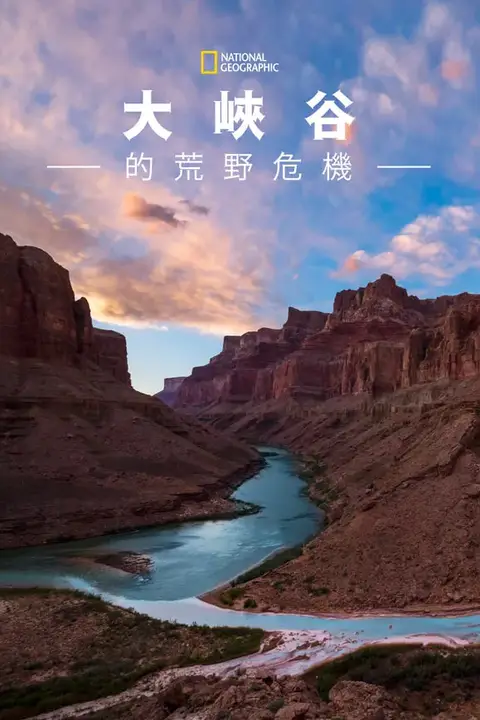 《大峡谷的荒野危机》封面