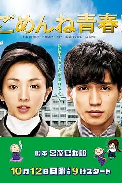《对不起青春》封面