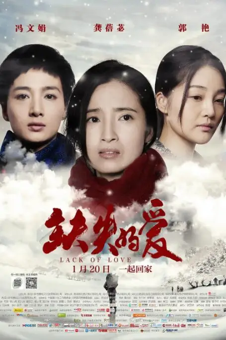 《缺失的爱》封面