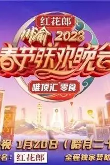 《重庆卫视2023年春节联欢晚会》封面