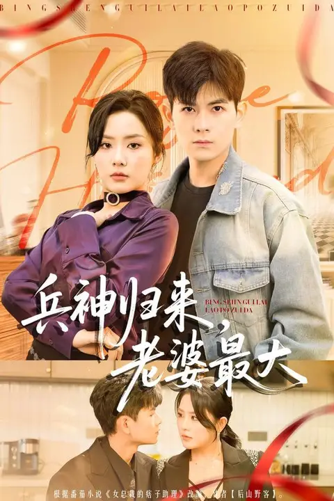 《兵神归来，老婆最大》封面