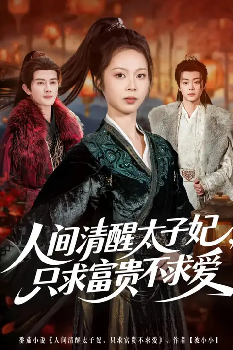 《人间清醒太子妃，只求富贵不求爱》封面
