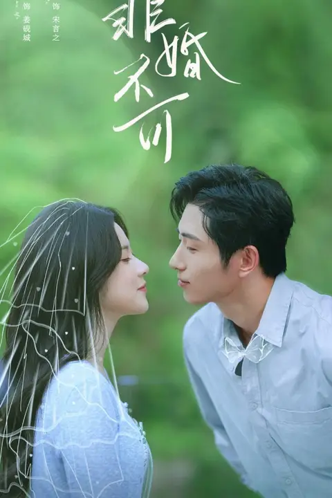 《非婚不可》封面