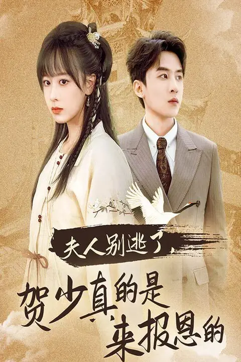 《夫人别逃了贺少真的是来报恩的》封面