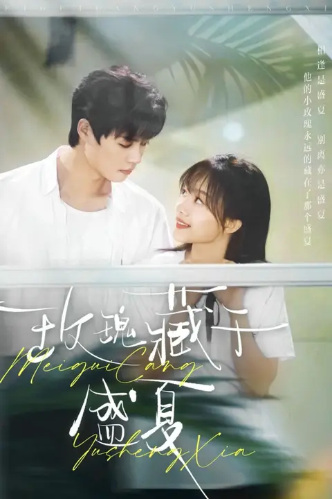 《玫瑰藏于盛夏》封面