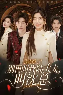 《我离婚了！别再叫我陆太太，叫沈总》封面