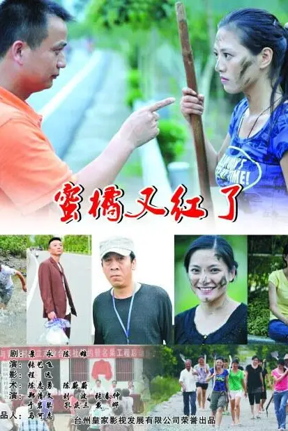 《蜜橘又红了》封面