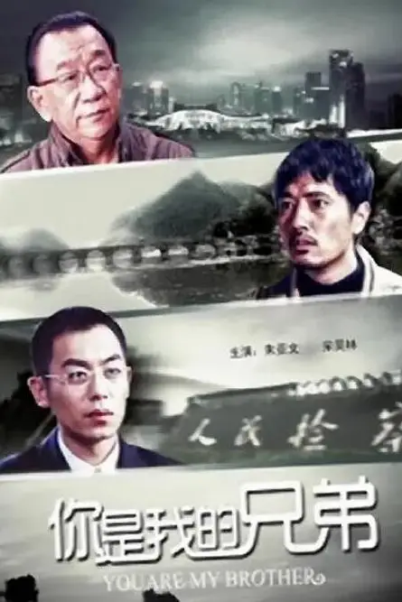《你是我的兄弟》封面